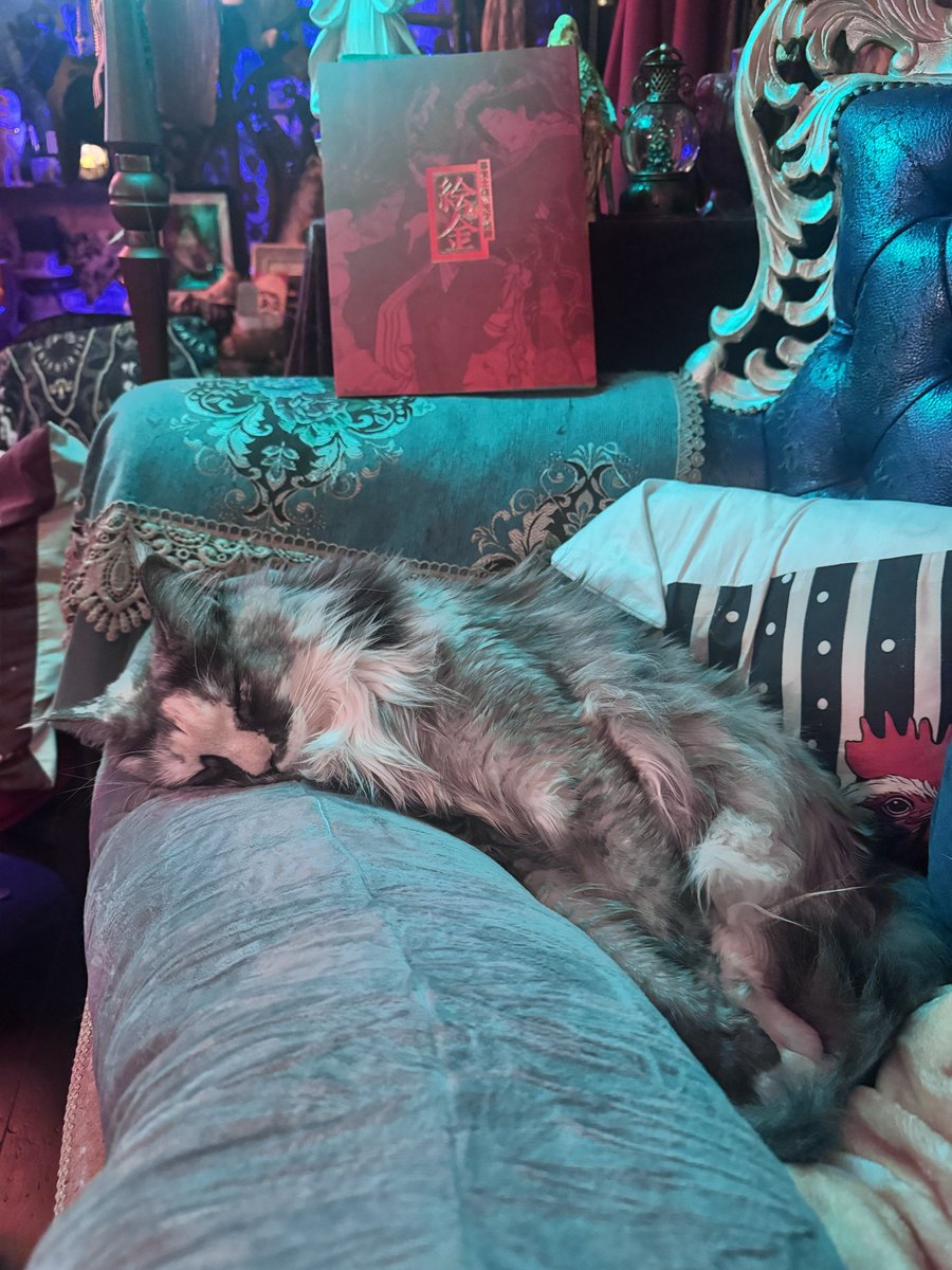 ロウズ⚜️🕒🫀Rose de Reficul tweet media