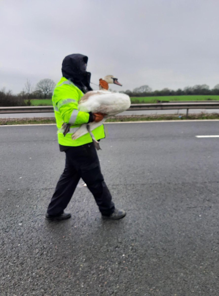 Wilts Specialist Ops tweet media