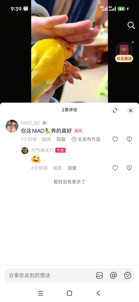 NIAO_BZ🦜 tweet media