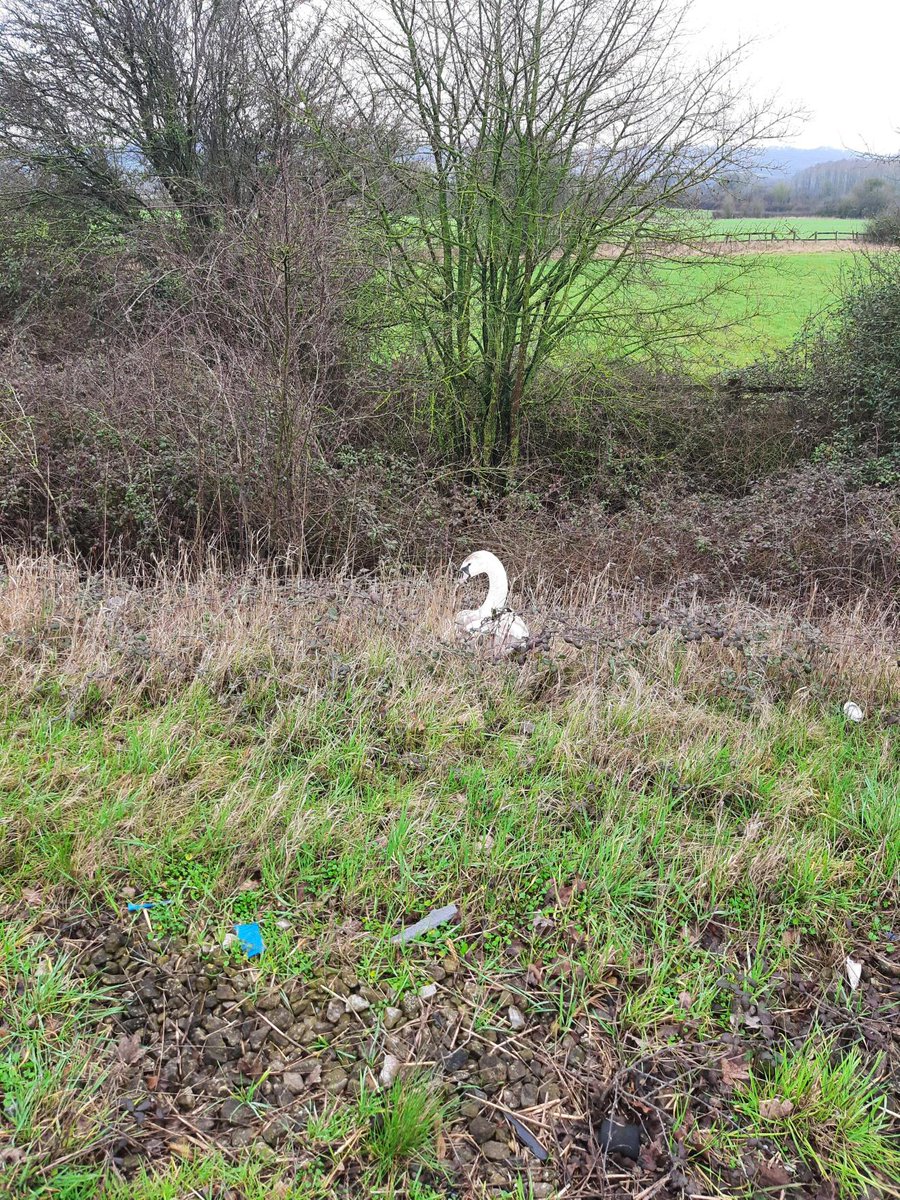 Wilts Specialist Ops tweet media