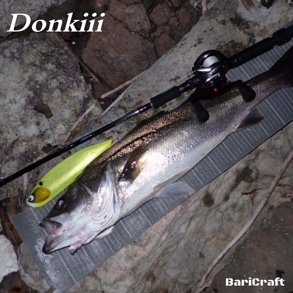 BariCraft バリクラフト tweet media