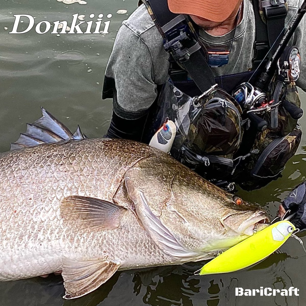 BariCraft バリクラフト tweet media