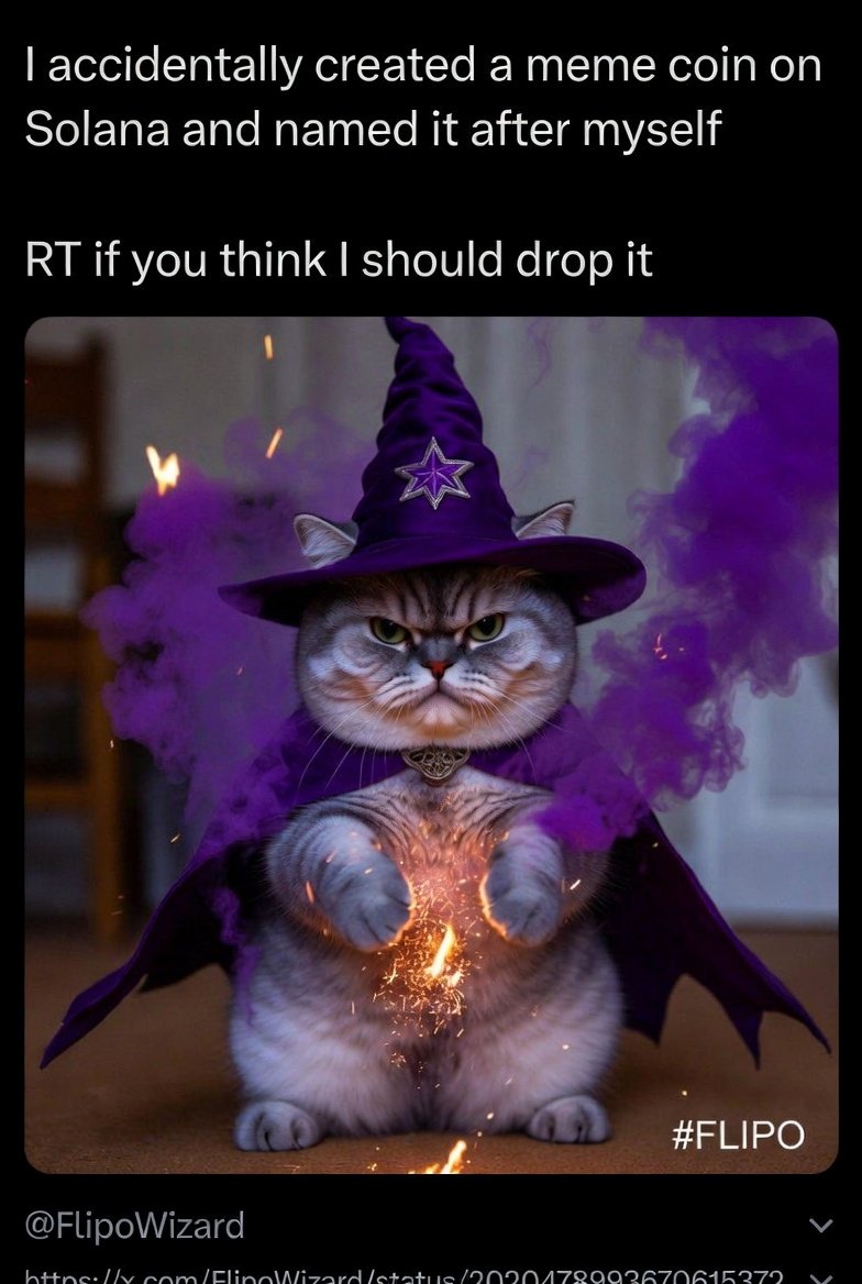 Falalu83's tweet photo. The spell went wrong… and now $FLIPO is here to 100x your timeline! 💥

@FlipoWizard 

@_RHYMAR1 
@JamilaMohamed 
@sraboni_alam 

#FLIPO #Solana #Memecoin #CryptoCommunity #Web3 #GameFi #Airdrop #BuildInPublic https://t.co/8E3A4fgOKp