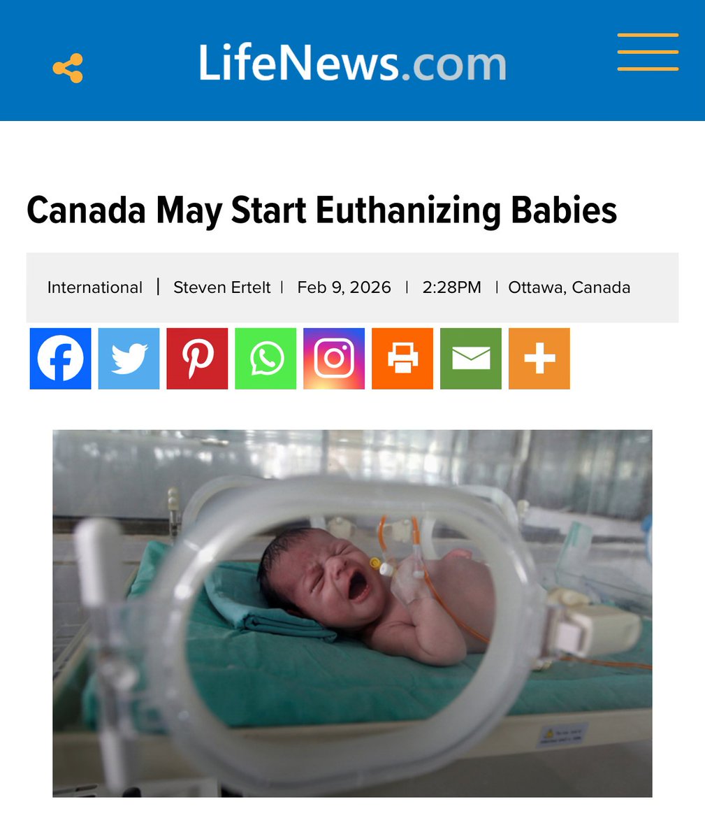 X Freeze tweet media