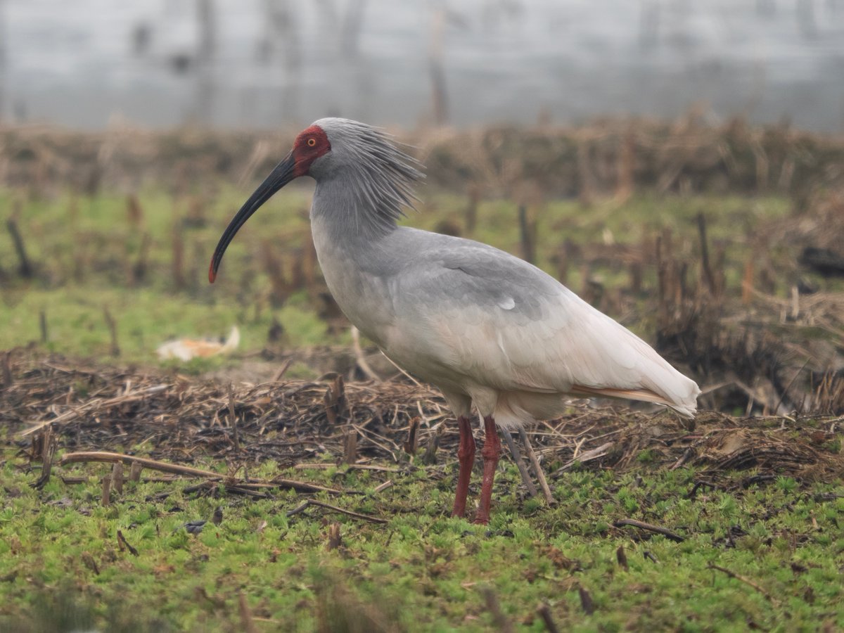 John Oates tweet media