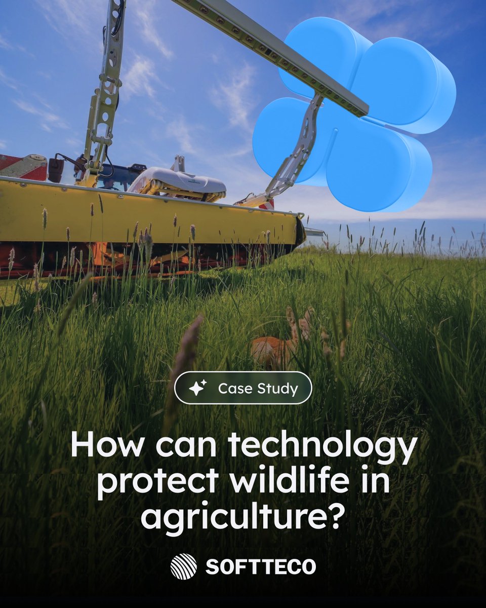 SoftTeco tweet media