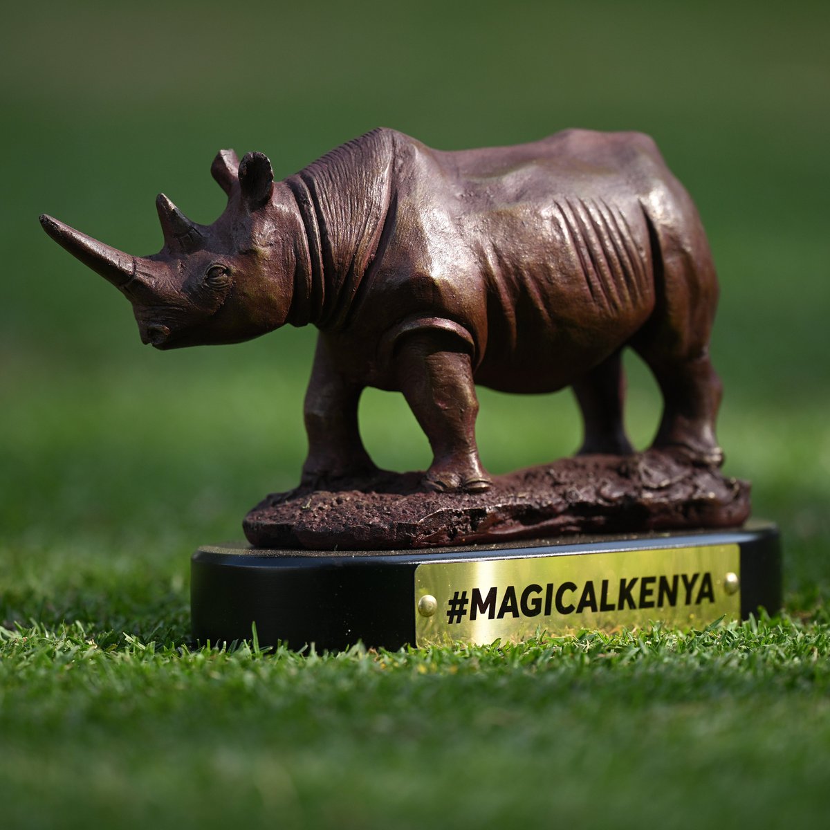 DP World Tour tweet media