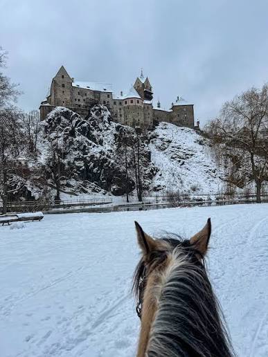 chesscom's tweet image. can I take the castle?