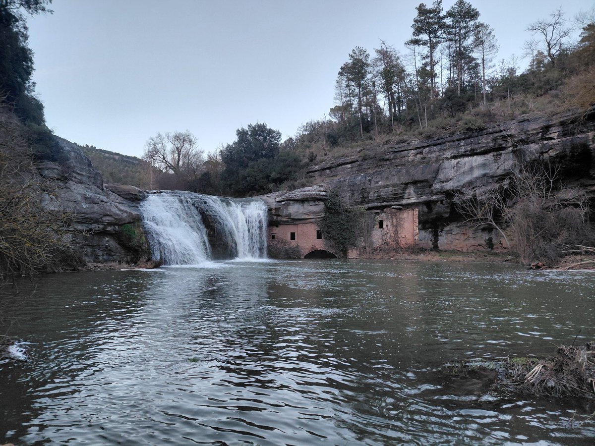 Ajuntament de Moià tweet media
