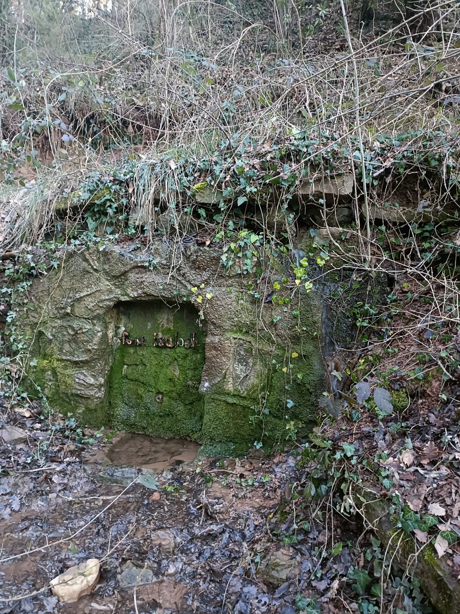 Ajuntament de Moià tweet media