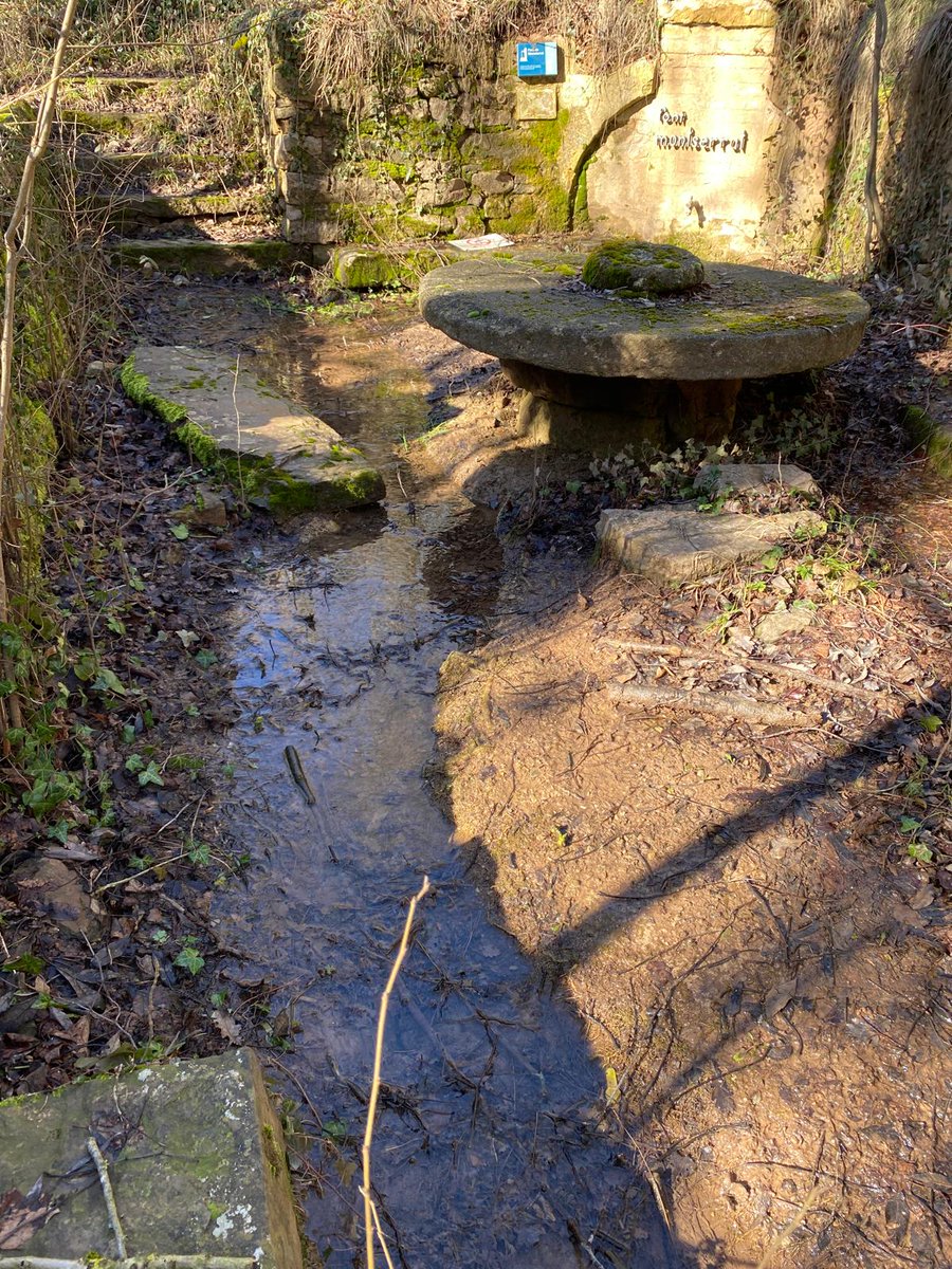 Ajuntament de Moià tweet media