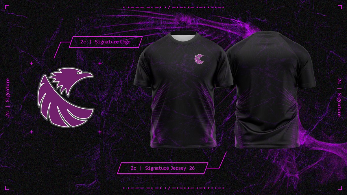 crow⚡ (@no960fps) / Posts / X