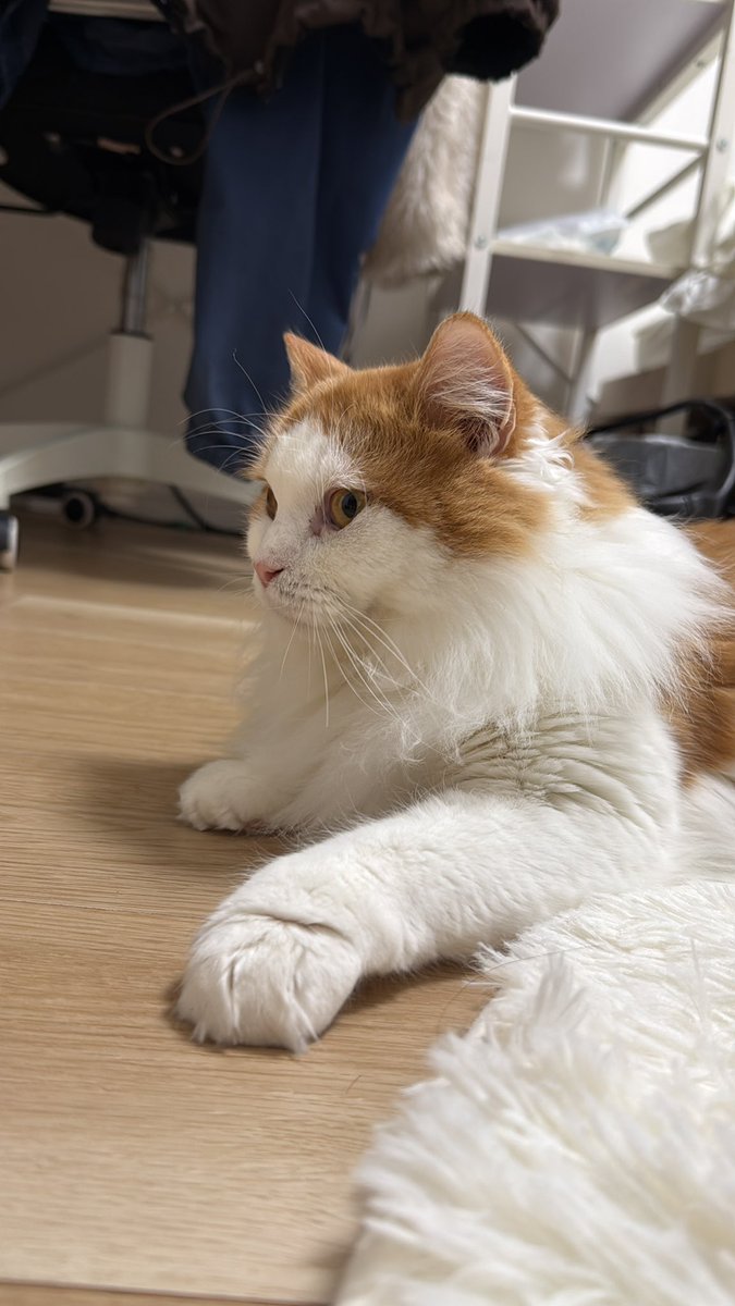 田中。 tweet media