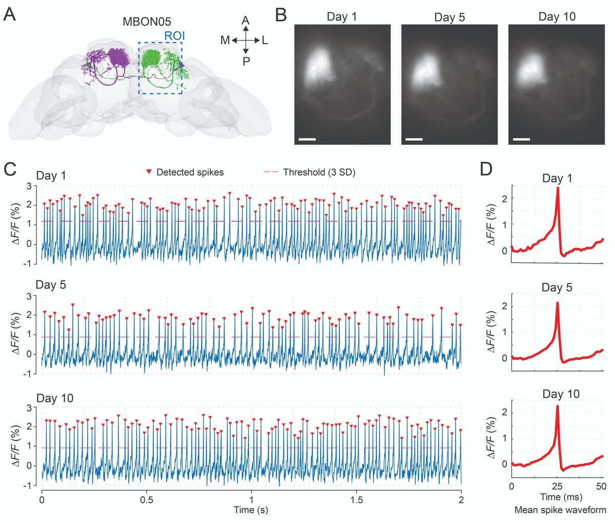 Cheng Huang tweet media