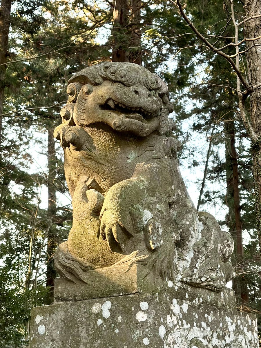 cquelove's tweet photo. 殿場市の北久原(ほくつばら)浅間神社です。立ち並ぶ杉の大木の間に参道が伸び神秘的な雰囲気...ですが平成18年のリフォームで、お社、手水舎、玉垣などはとてもきれい！湯立神楽が行われるそうです。 #神社 https://t.co/6bGScqsceu
