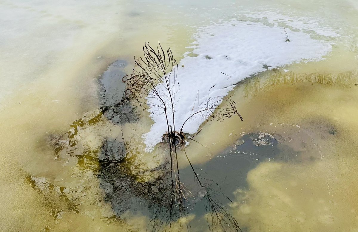 Happiness always
Comes with whiff of rottenness,
Doubts about self-worth