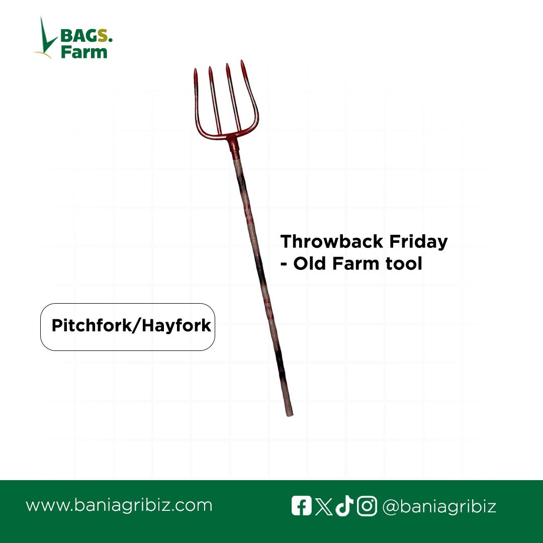 baniagribiz's tweet photo. Pitchfork or hay fork is an agricultural tool used to pitch loose material, such as hay, straw, manure or leaves.
It has a long handle and usually two to five thin tines designed to efficiently move such materials.
#BAGSFarm #pitchfork #ancienttool #ancient #4h https://t.co/Jj0oToAYvC