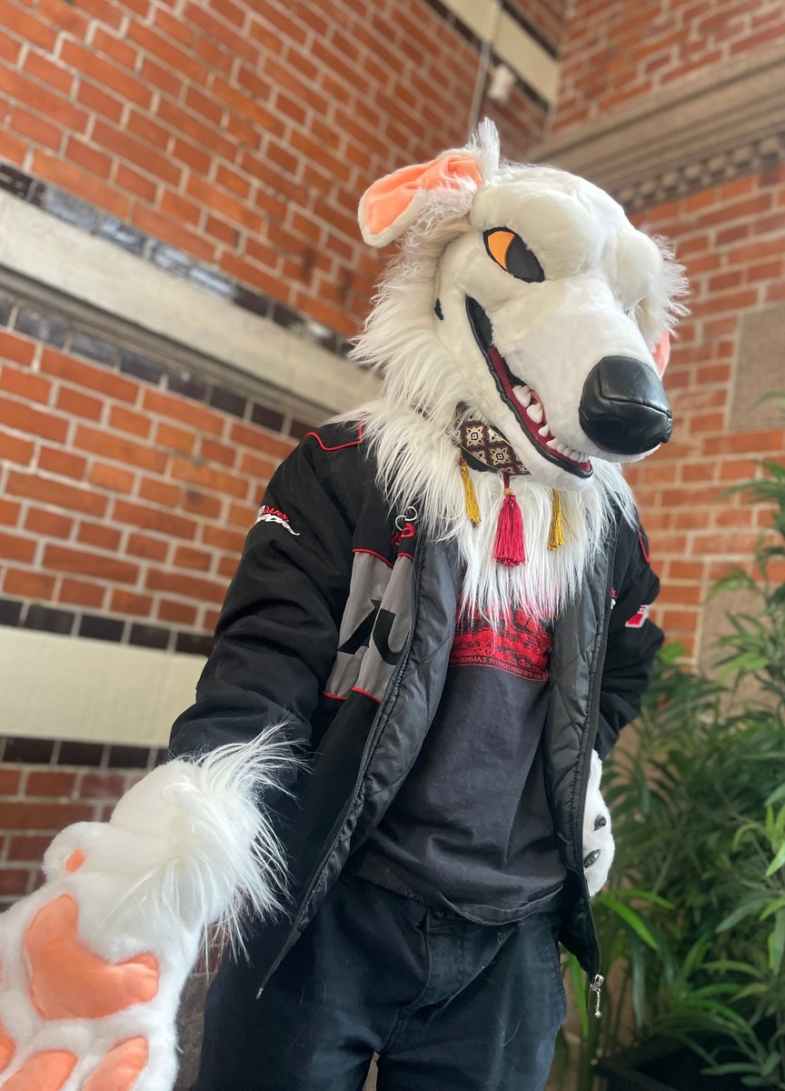 DeadDog Fursuits 🥀 tweet media