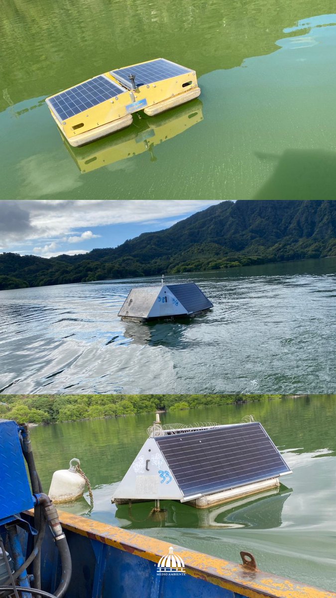 ¿Qué está pasando en la presa de Hatillo? 🌊

La coloración verde se debe a una floración de cianobacterias (Microcystis), favorecida por exceso de nutrientes, altas temperaturas y baja circulación del agua. 

Damos seguimiento técnico y evaluamos medidas para su recuperación.