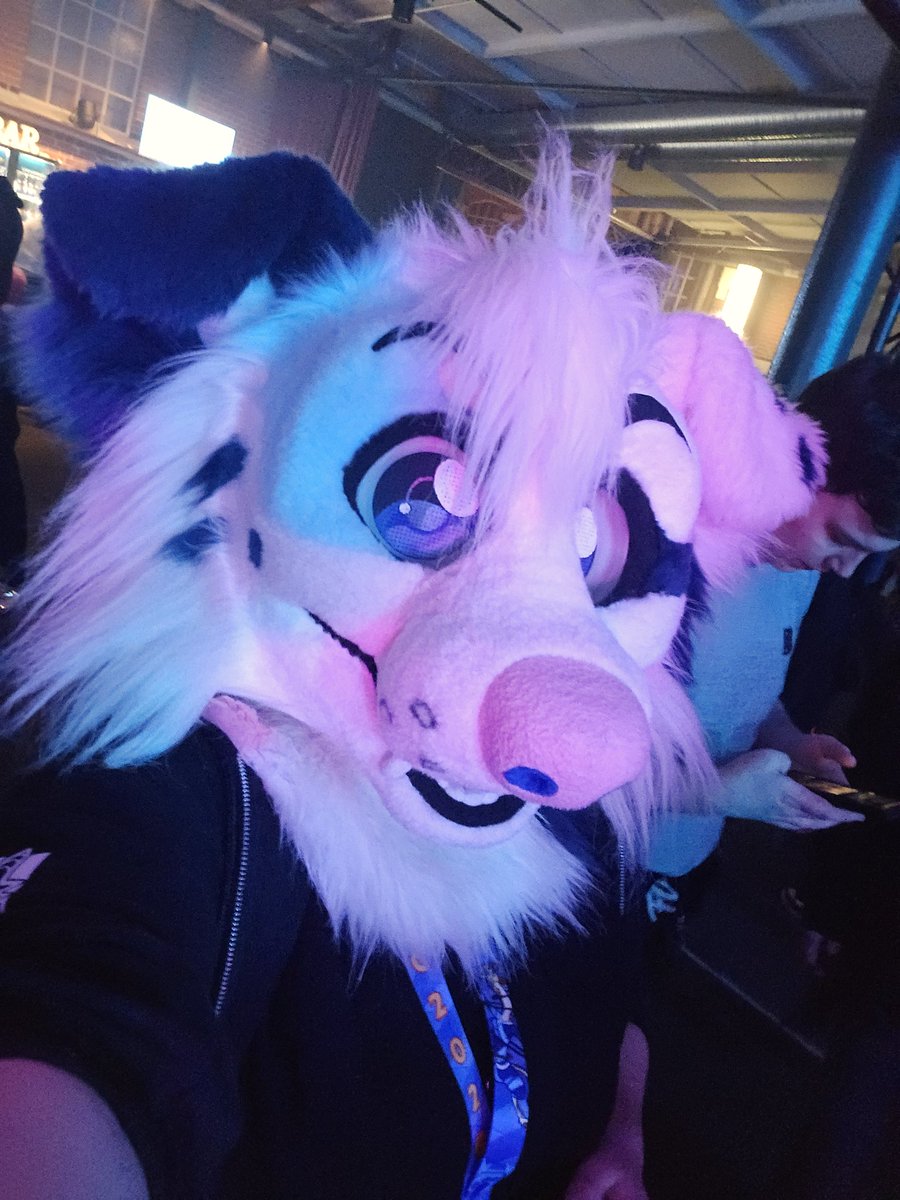 Been having fun at #NordicFuzzCon !! Bought a harness to match my collar too so expect pics soon! :3
