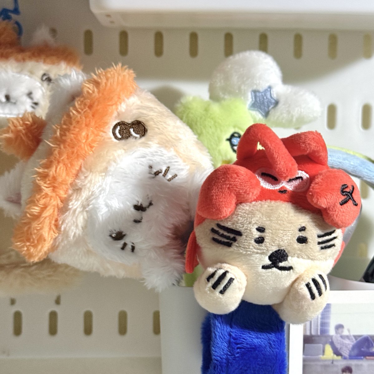 เดี๋ยวพรุ่งนี้พาไปเฟ่นะอ้วน