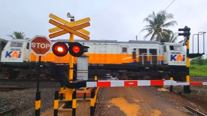 Jadi gini mas Heru, di PJL itu selain palang pintu yang buka tutup, ada juga sirine PJL nya yang terdengar sampe ratusan meter, ada juga lampu isyarat merah yang nyala2 terang di palang pintunya. Kalo 2 ini bunyi &amp; nyala tetep diabaikan ya berarti yang bego sopirnya.