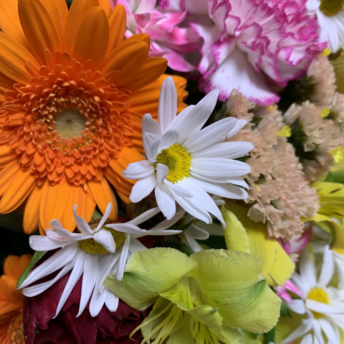 湖ノ上茶屋🍵新作執筆中 tweet media