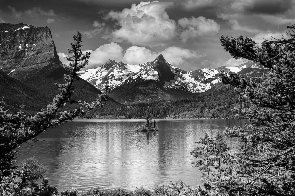 NatParkTrust's tweet photo. Join us in remembering world-renowned photographer and environmentalist Ansel Adams on his birthday! 🎂

His iconic black-and-white images of national parks helped share the natural beauty of America's landscapes with the world.

📷: Frank Lee Ruggles https://t.co/b5GSBPtedN