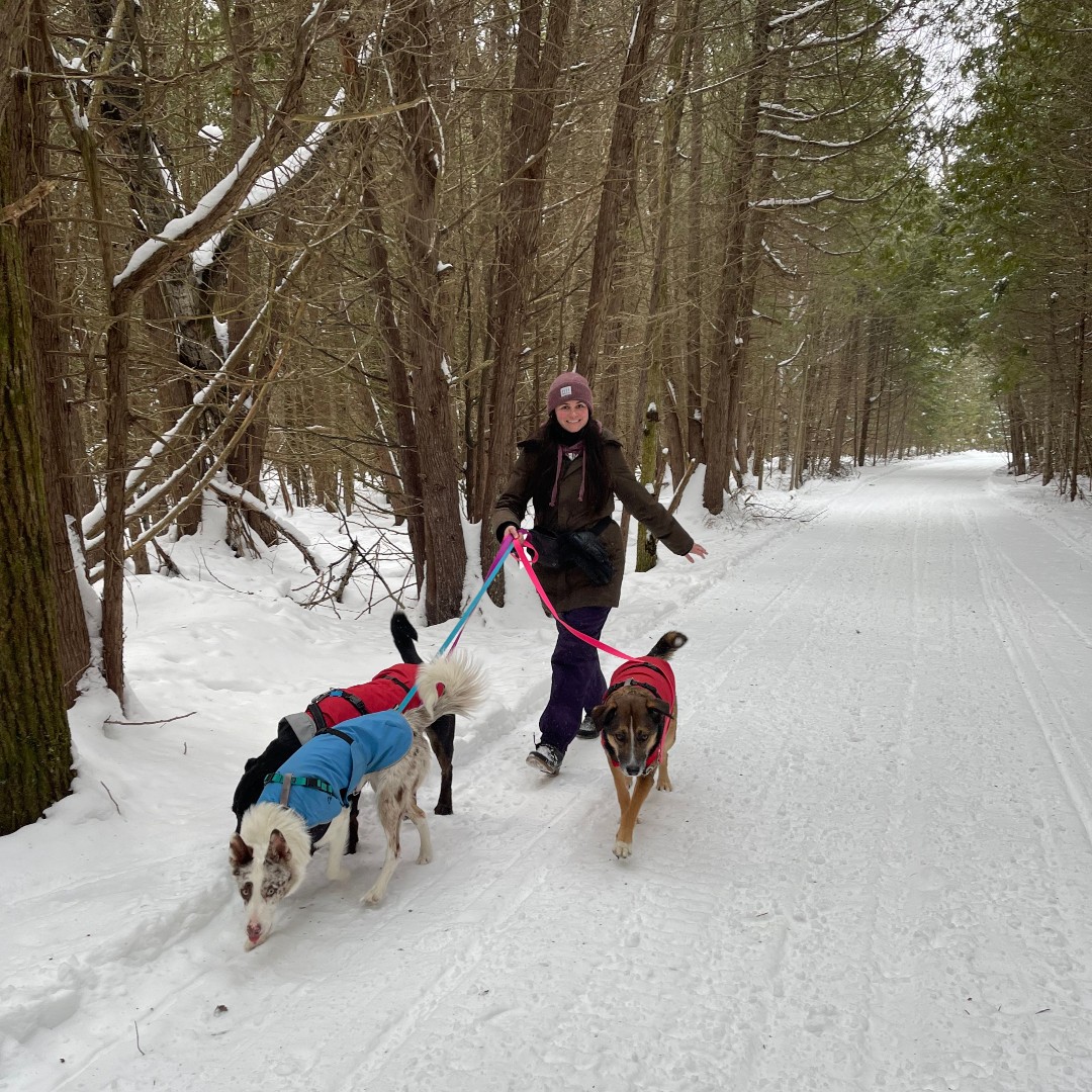 Lake Simcoe CA tweet media