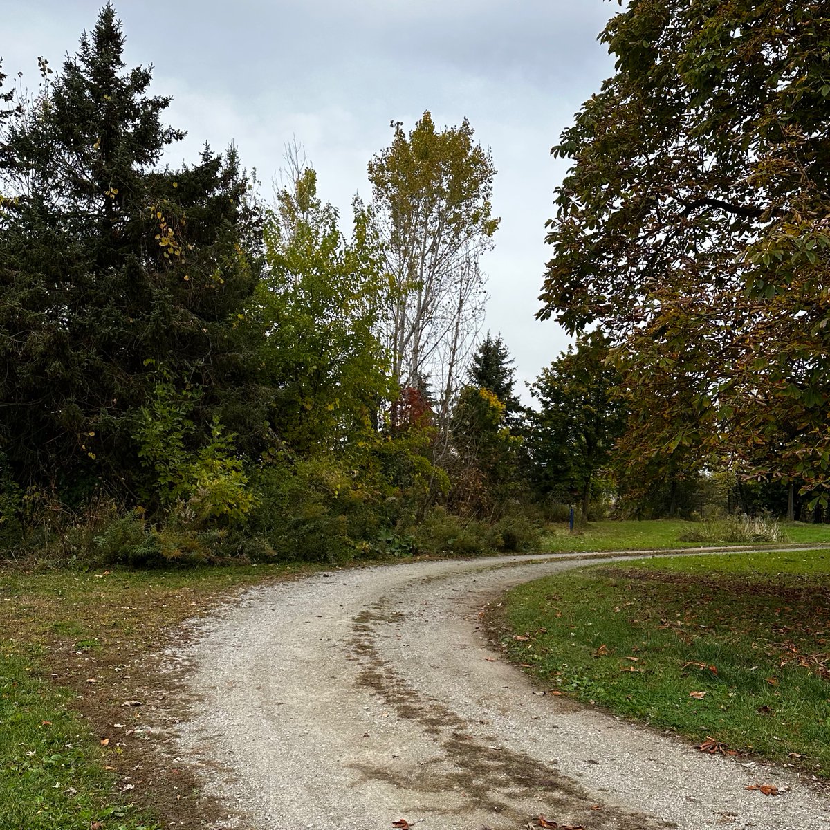 Land Is Vision Financing 🌱
No tenants.
No income.
Just dirt… and strategy.
Lower LTV 📊
Shorter terms ⏳
Higher rates 💥
Because lenders fund potential, not performance.
Land is patient.
Your financing shouldn’t be reckless.