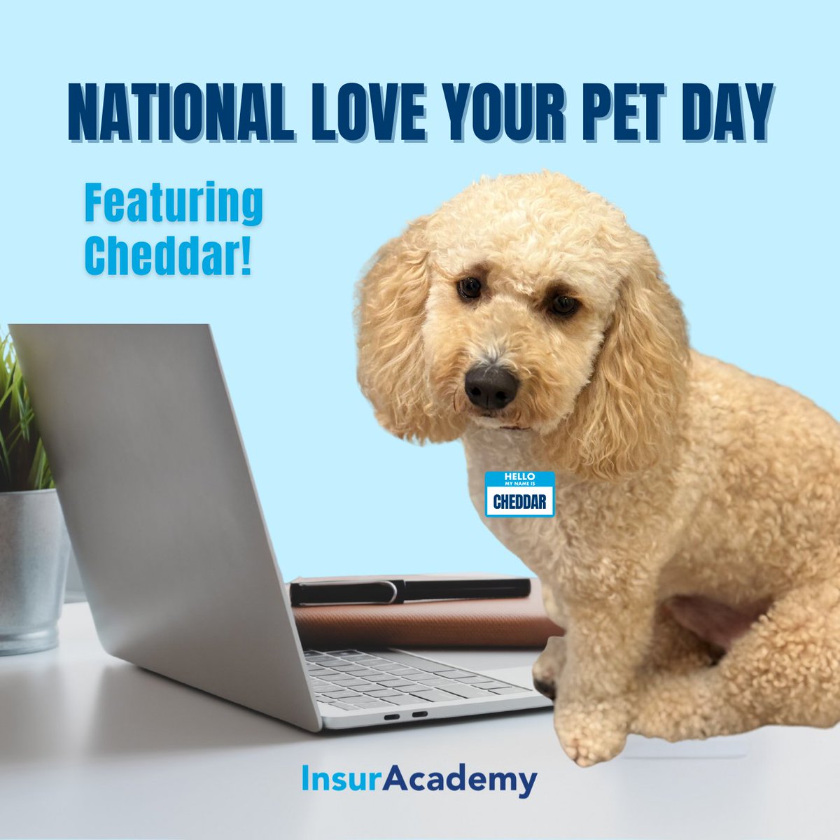 InsurAcademy tweet media