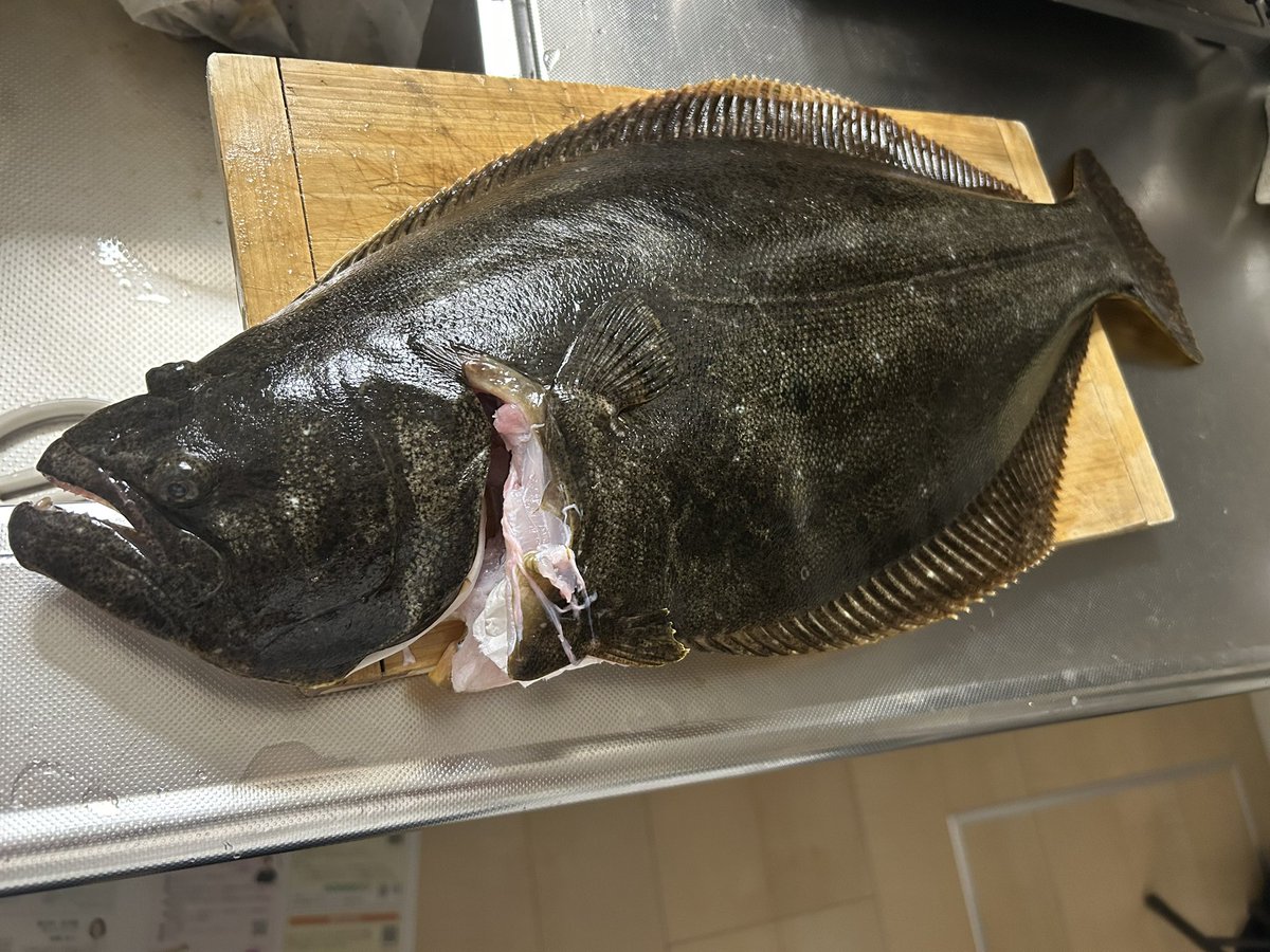 いとしゅう@ tweet media