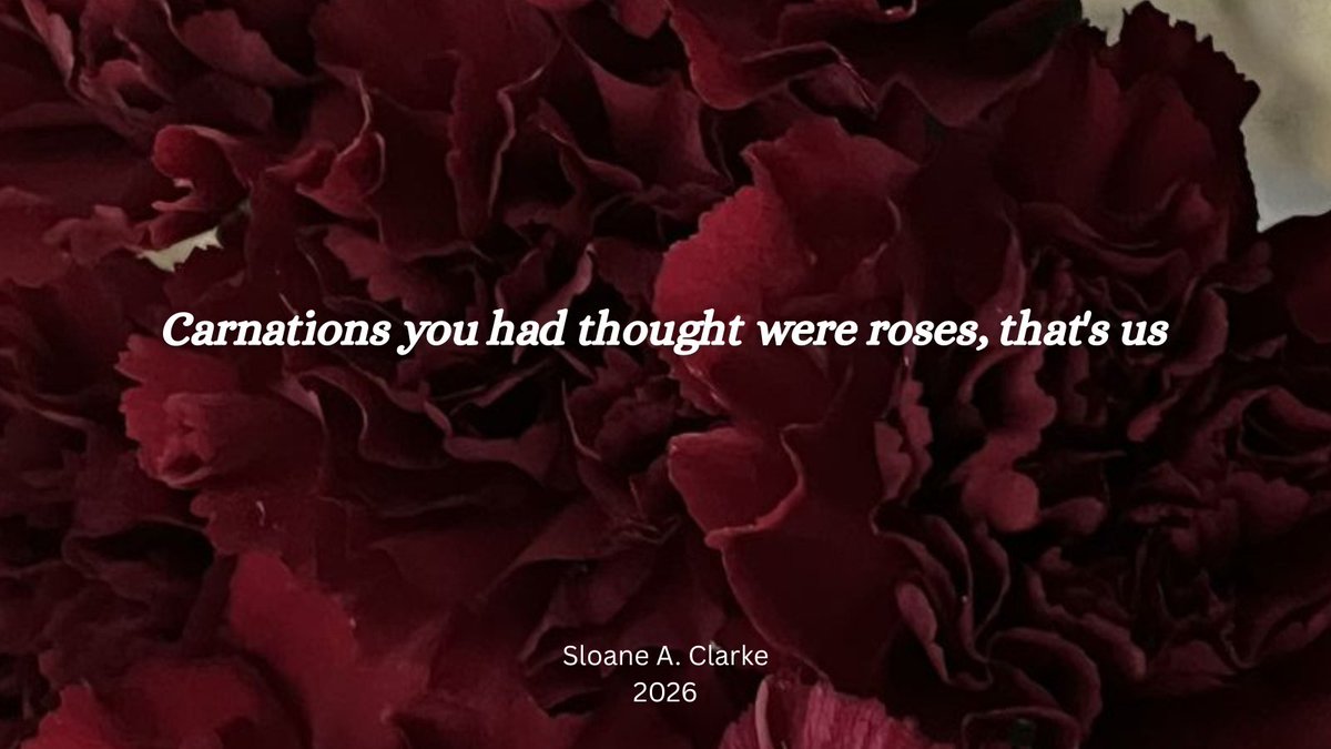 Carnations you had thought were roses, that's us.