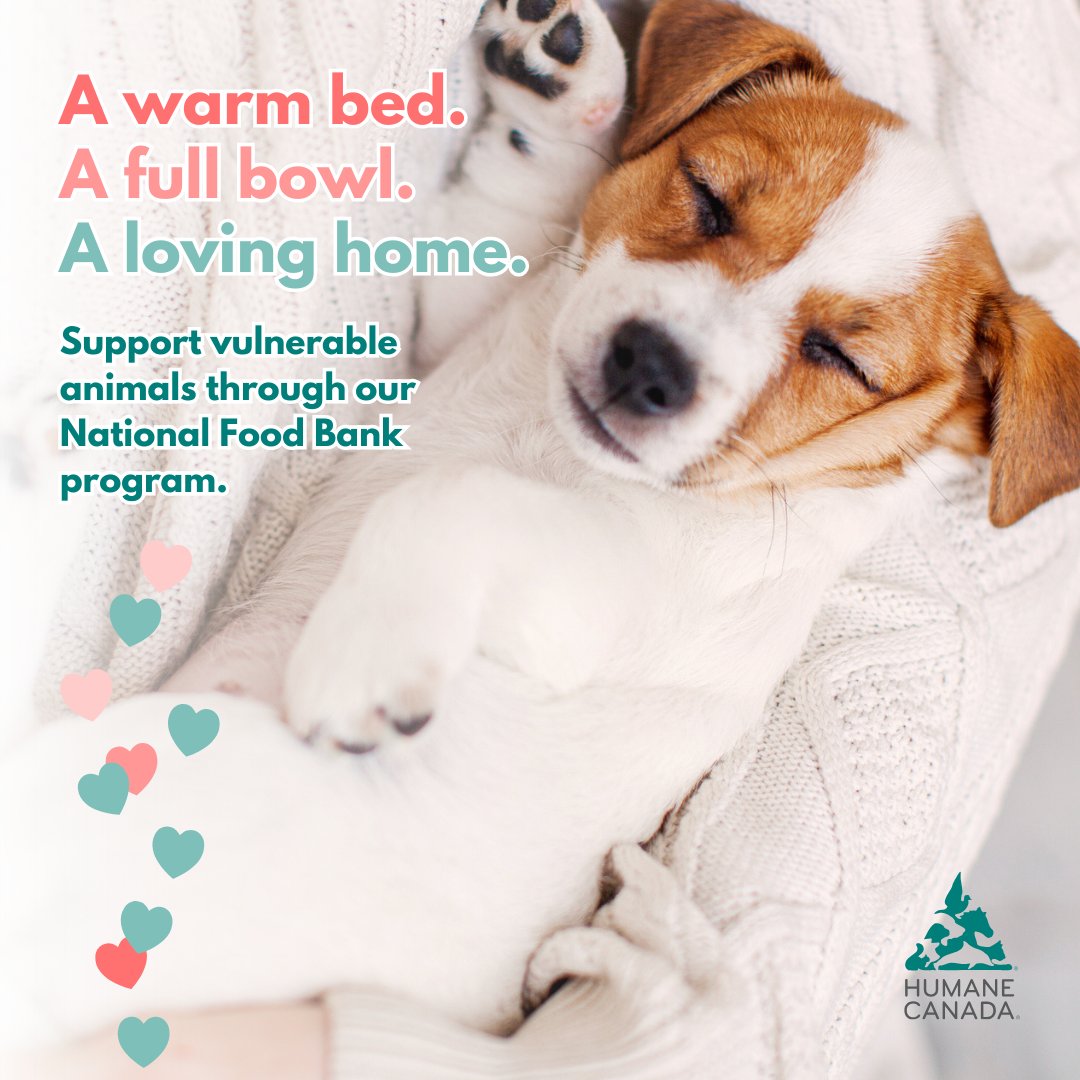 Humane Canada tweet media