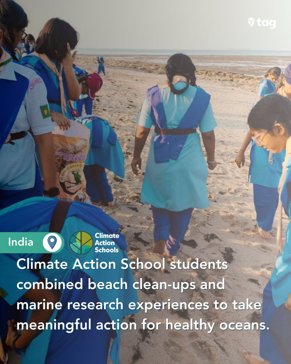 Take Action Global tweet media