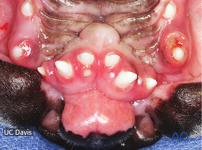 AO Surgery Reference tweet media