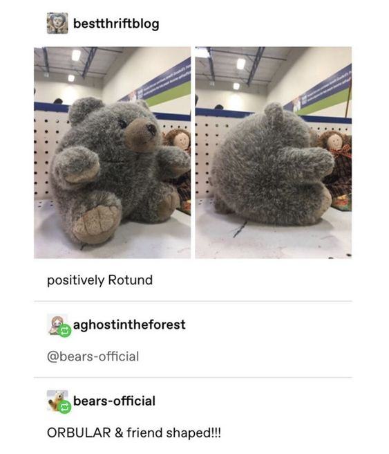 WholesomeMemes (@wholesomememe) on Twitter photo 