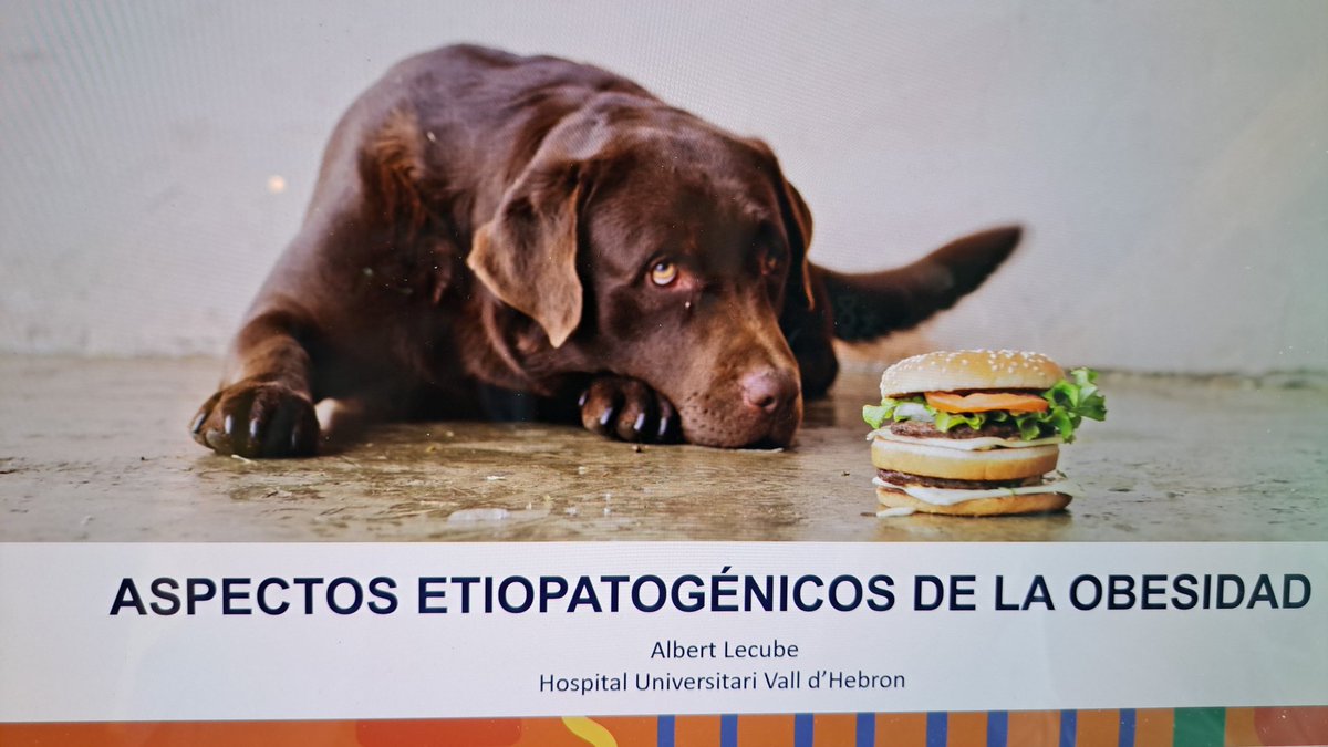 Albert Lecube tweet media