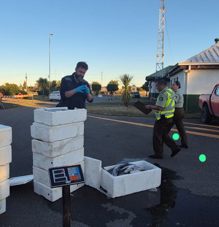 🔴 Más de 6 toneladas de pescados y mariscos decomisados en operativo conjunto en la Ruta 5 Sur, a la altura de la comuna de #Paillaco.

👉🏼 Más información aquí...
facebook.com/10006356767152…
<a href="/seremisalud14/">Seremi Salud LosRíos</a> <a href="/sagchile/">SAG</a> <a href="/CarabLosRios/">Carabineros Región de Los Ríos</a> <a href="/Carabdechile/">Carabineros de Chile</a> <a href="/sernapesca/">Servicio Nacional de Pesca y Acuicultura 🇨🇱</a>