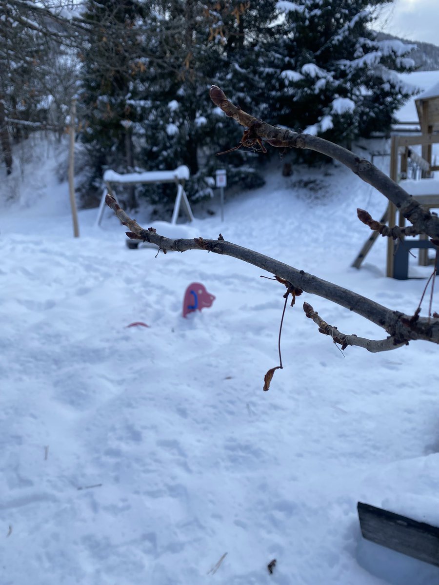 Sonia Zuccaro tweet media