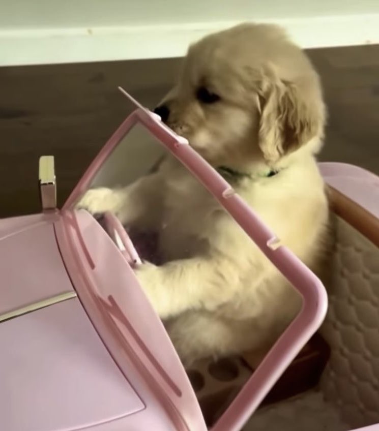 staywithharit's tweet image. ภาพในหัวตอนหะริดขับรถ