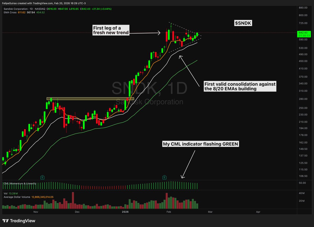 Felipe Guirao tweet media