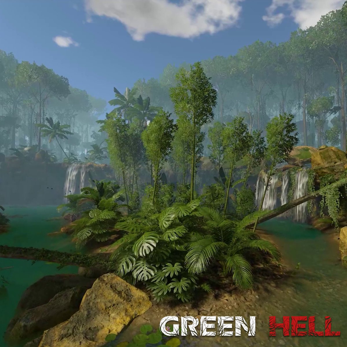 Green Hell tweet media