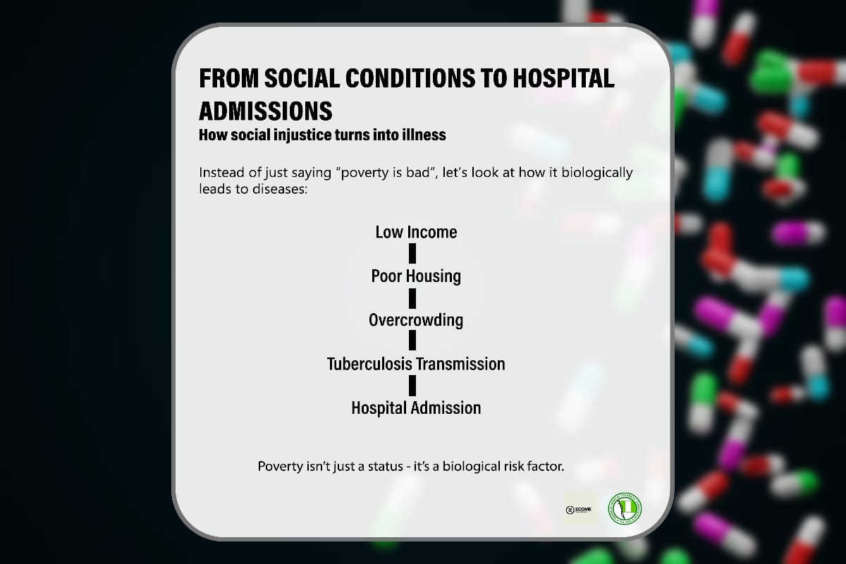 NiMSA_SCOME tweet media