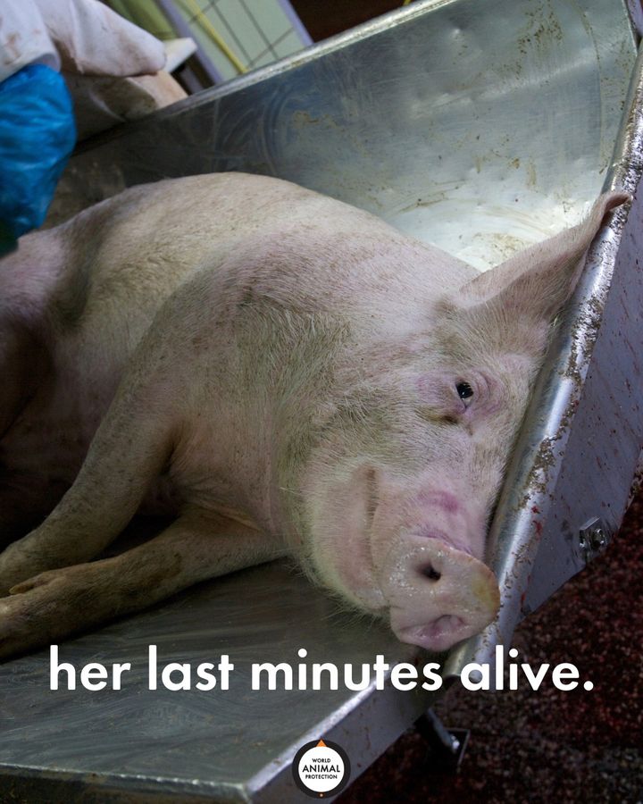 Don't forget about her. 💔