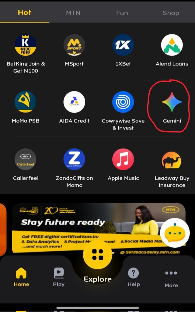 I'm still not sure what the designers and developers were thinking.
<a href="/MTNNG/">MTN Nigeria</a> what do you think?
Why Gemini and not Grok or Claude?