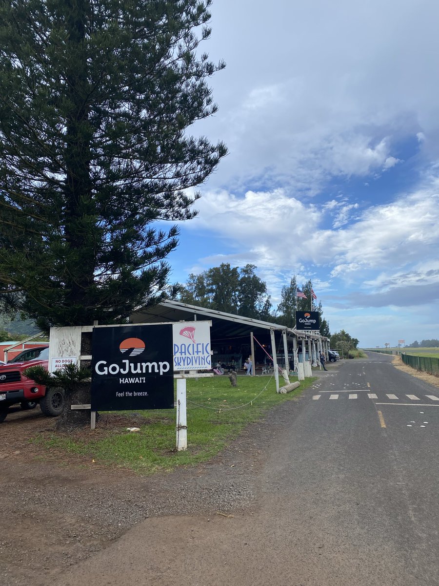 Dylan Ness tweet media