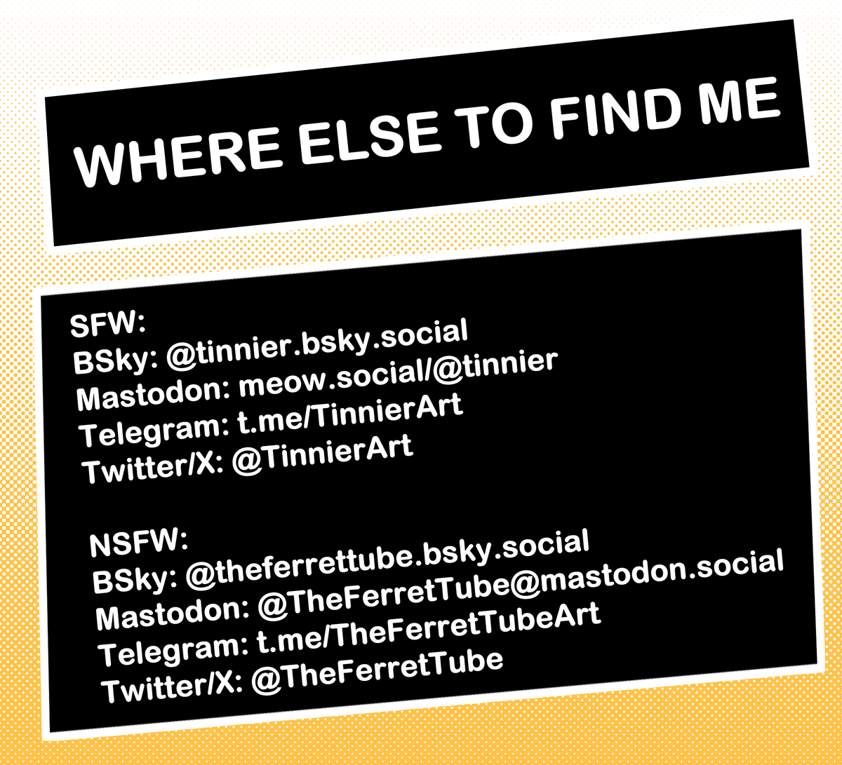 The Ferret Tube tweet media