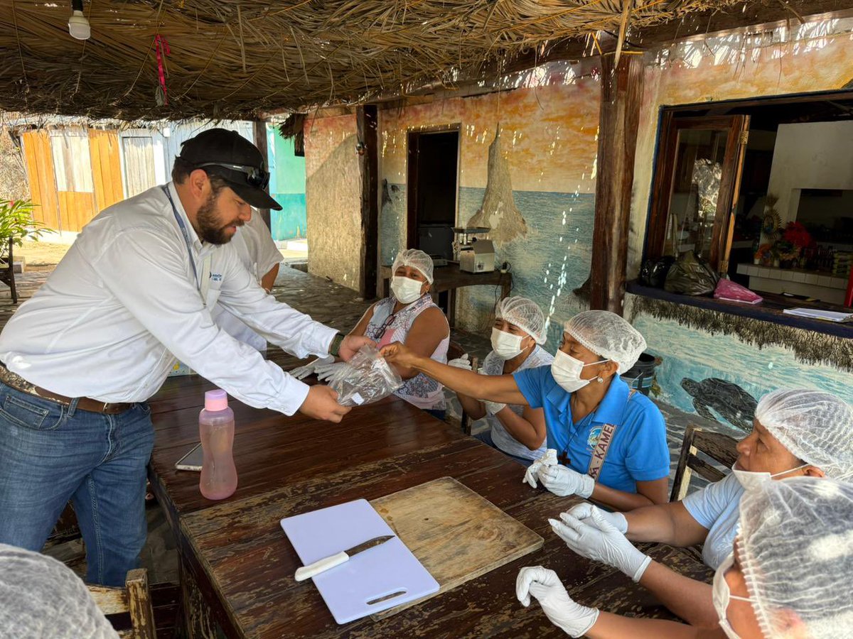 🎣👩‍🌾 En Aquila, capacitamos a mujeres pesqueras para agregar valor a sus productos y diversificar sus ingresos.

Con formación en manejo higiénico, conservación, procesamiento y comercialización, fortalecen la economía familiar y la seguridad alimentaria. 🐟 #MichoacánEsMejor