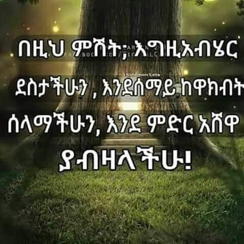 Bini_dam tweet media